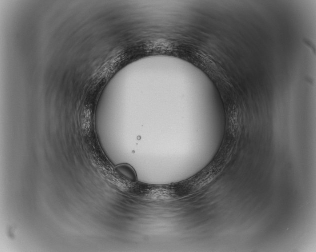 X0000100410708200806201759