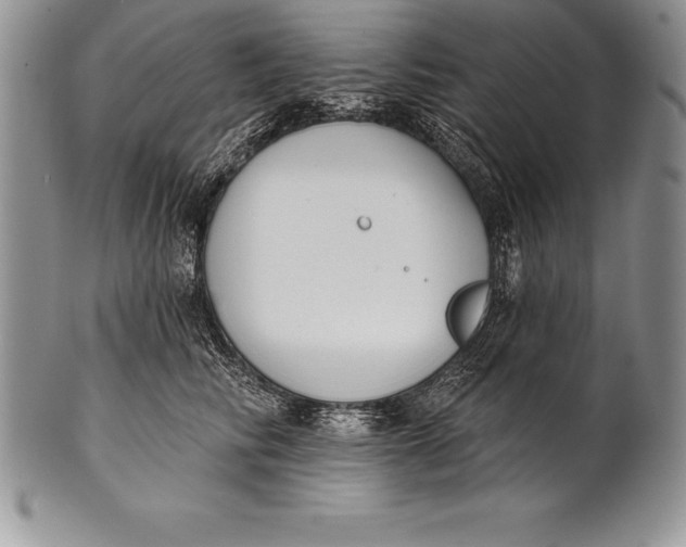 X0000100410710200806201759