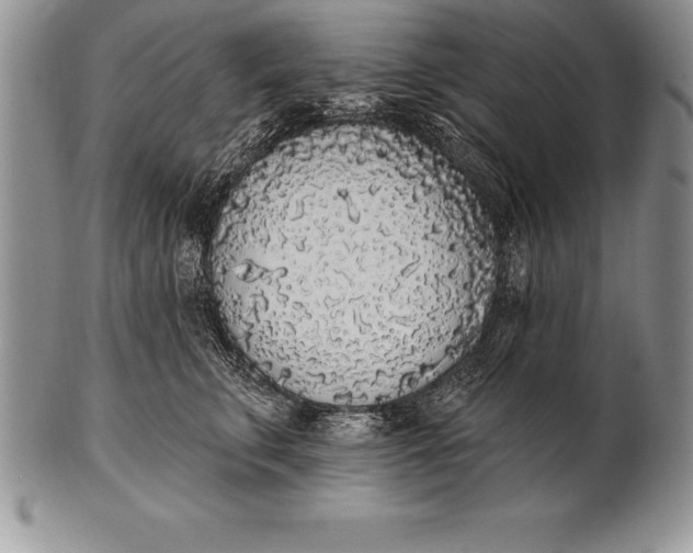 X0000100410711200806201759