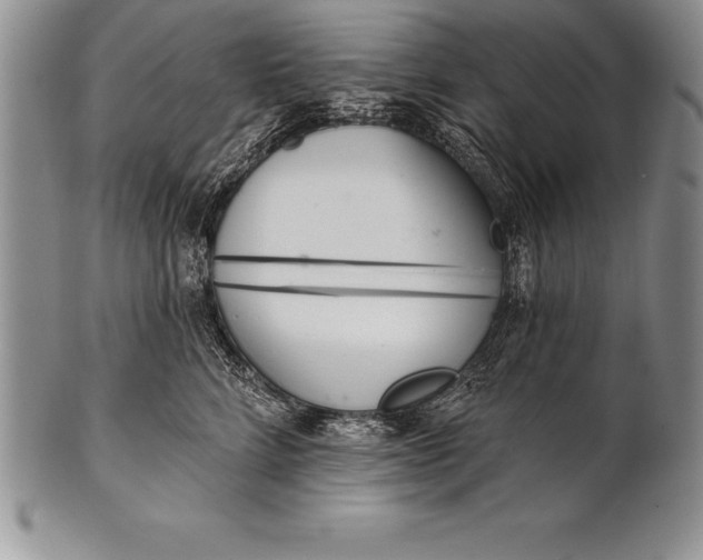 X0000100410712200806201759