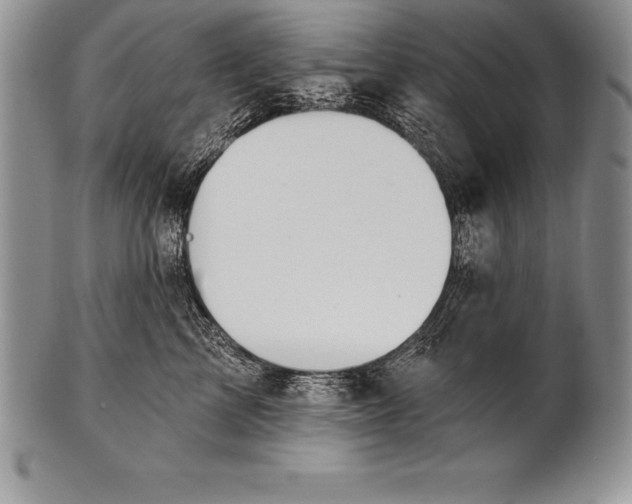 X0000100410713200806201759