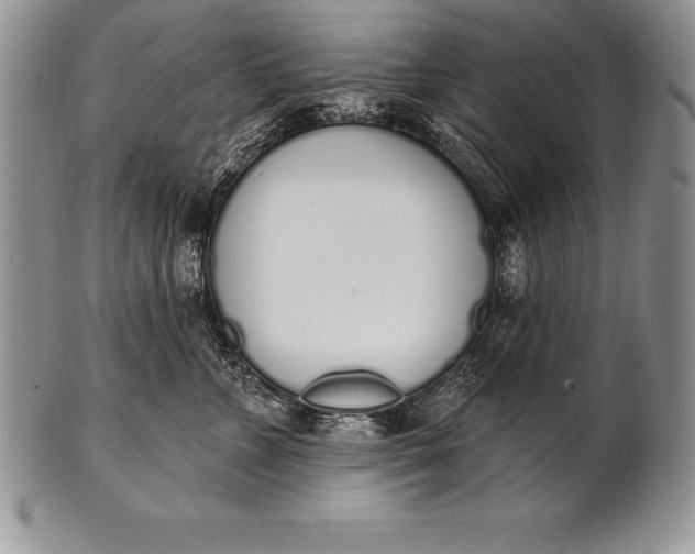 X0000100410715200806201759