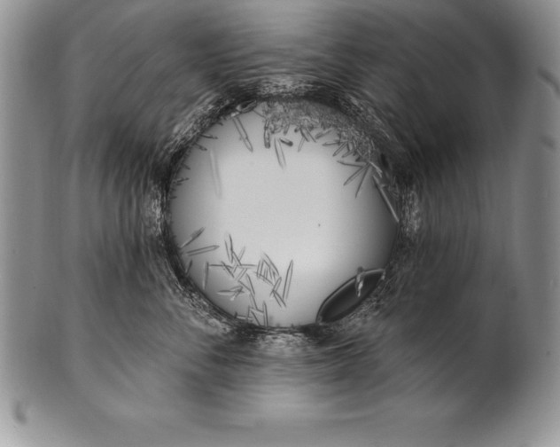 X0000100410716200806201759