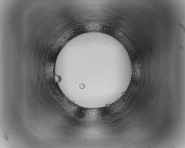 X0000100410717200806201759