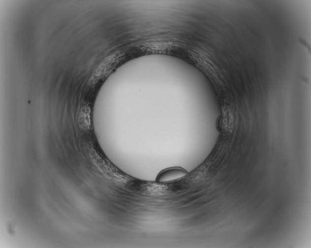 X0000100410718200806201759