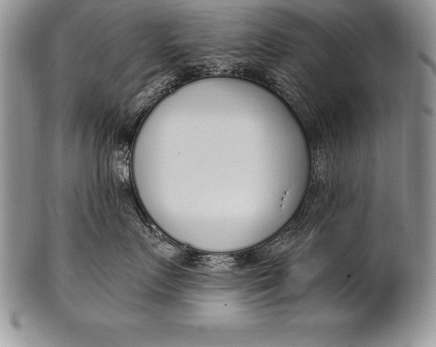 X0000100410719200806201759