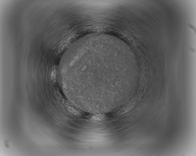 X0000100410720200806201759