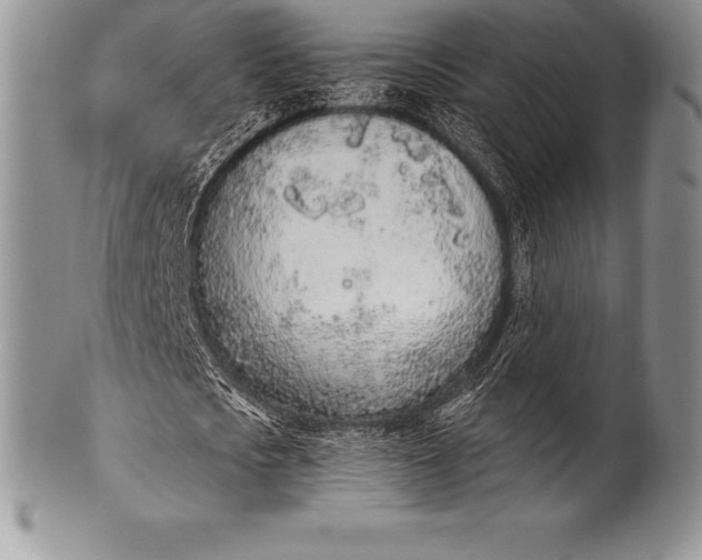 X0000100410721200806201758