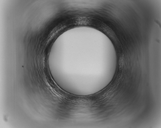 X0000100410722200806201758