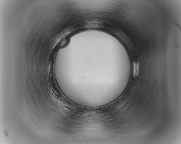 X0000100410723200806201758