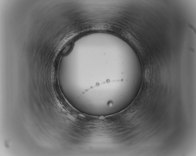 X0000100410724200806201758