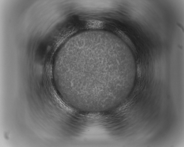 X0000100410725200806201758