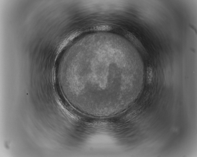 X0000100410726200806201758