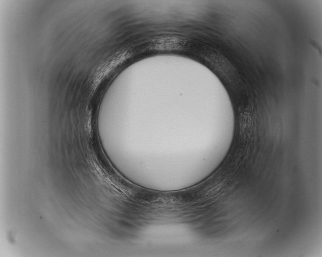 X0000100410727200806201758