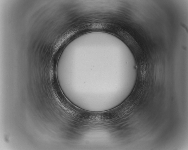 X0000100410728200806201758