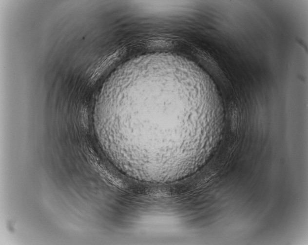 X0000100410729200806201758