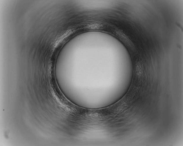 X0000100410730200806201758