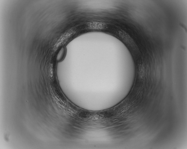 X0000100410731200806201758