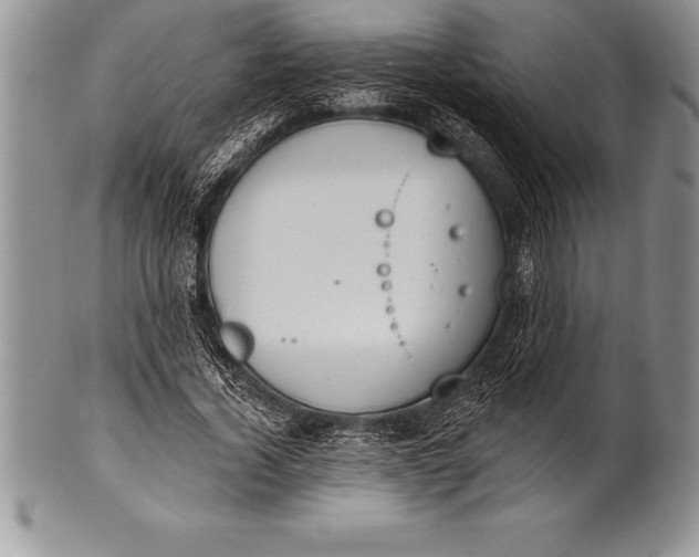 X0000100410732200806201758