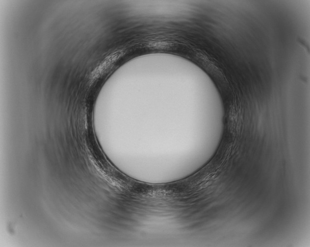 X0000100410734200806201758