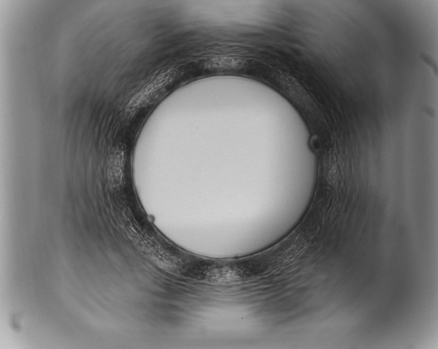 X0000100410735200806201758