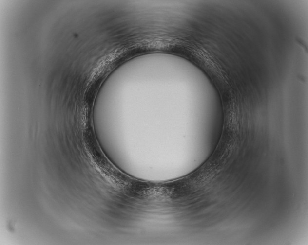 X0000100410736200806201758