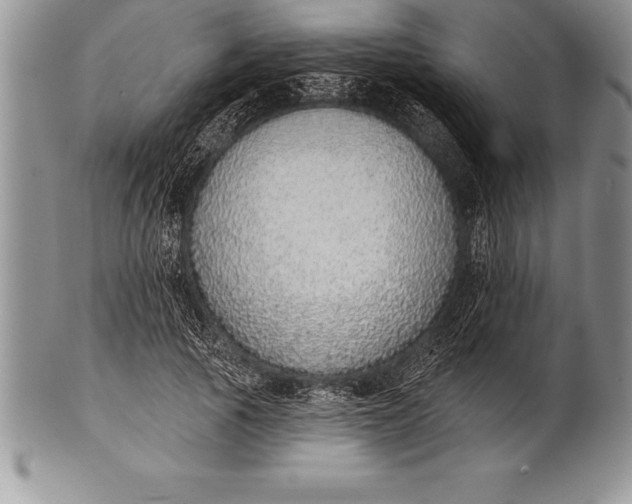 X0000100410737200806201758