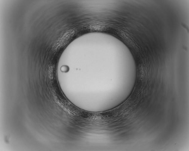 X0000100410738200806201758