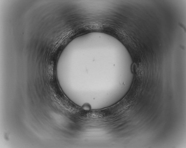 X0000100410739200806201758