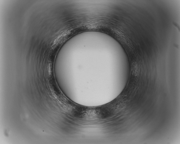 X0000100410740200806201758