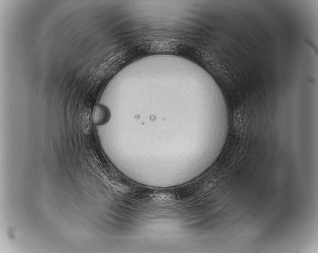 X0000100410741200806201759