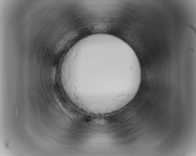 X0000100410742200806201759