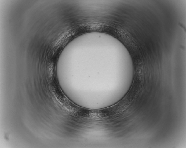 X0000100410744200806201759