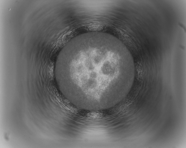 X0000100410745200806201759