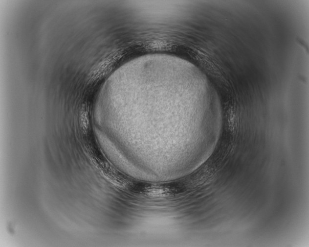 X0000100410746200806201759