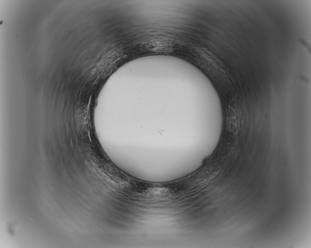 X0000100410748200806201759