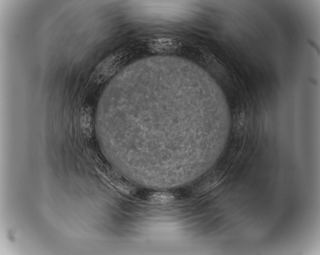 X0000100410749200806201759