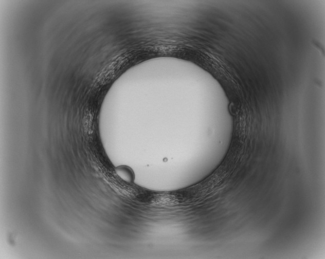 X0000100410750200806201759