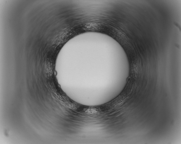 X0000100410751200806201759