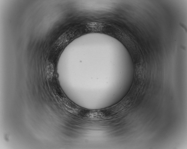 X0000100410752200806201759