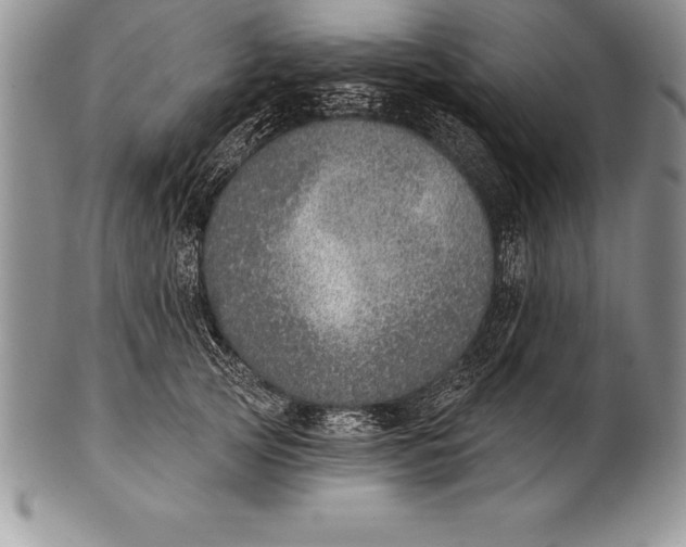 X0000100410753200806201759