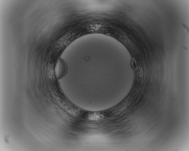 X0000100410754200806201759