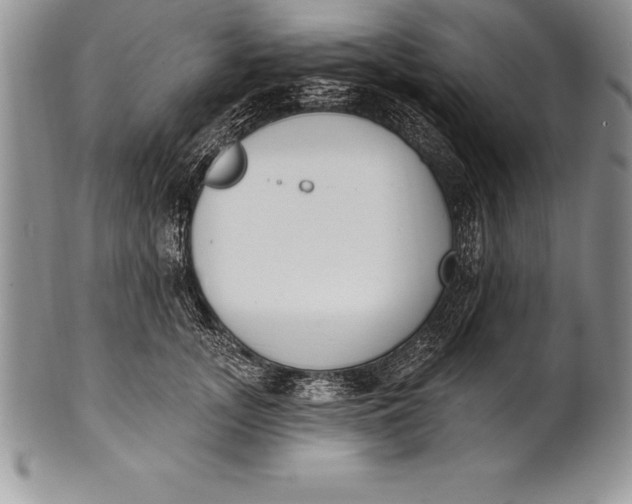 X0000100410755200806201759