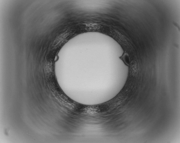 X0000100410756200806201759