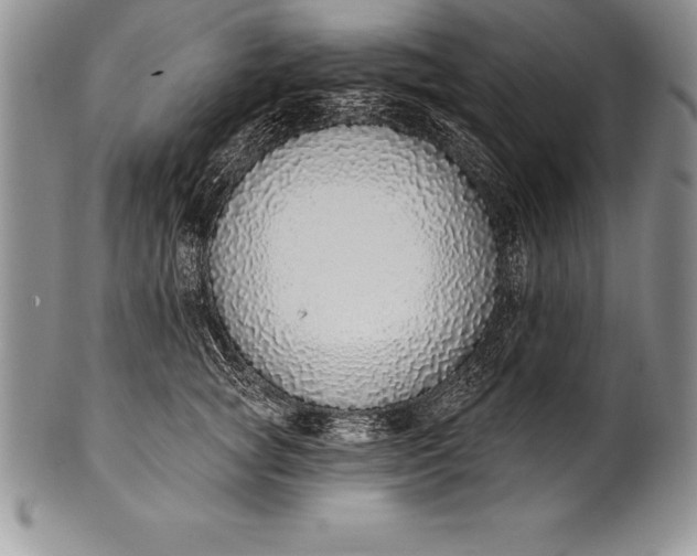 X0000100410757200806201759