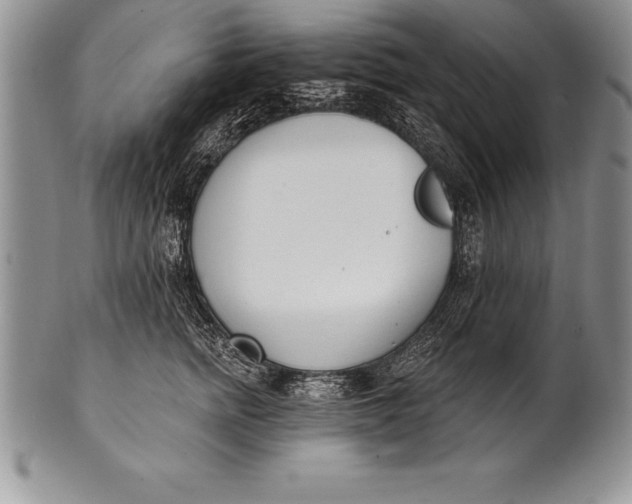 X0000100410758200806201759