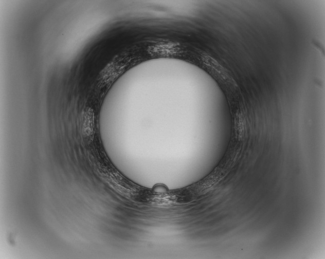 X0000100410760200806201759