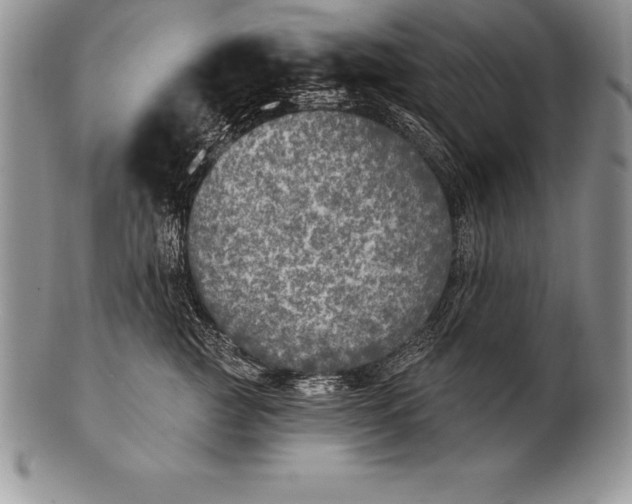 X0000100410761200806201759