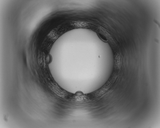 X0000100410762200806201759