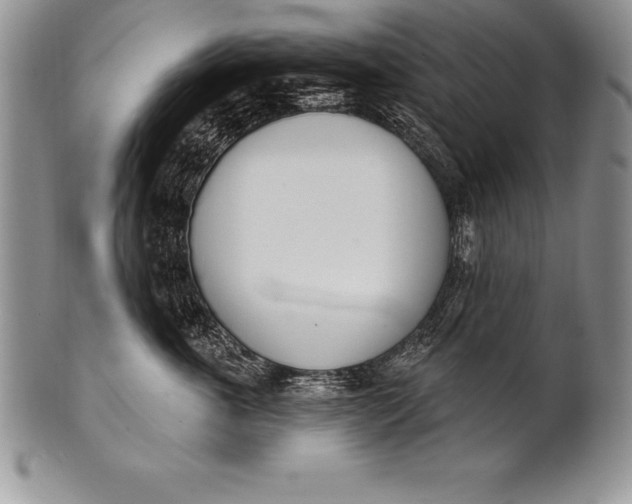 X0000100410763200806201759